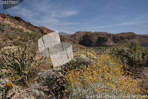 Image of Theodore Roosevelt Lake, Arizona, USA