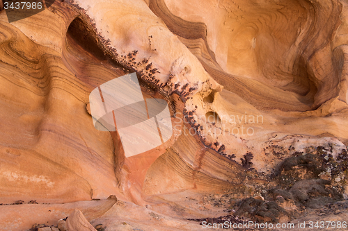 Image of Whitney Pocket, Nevada, USA