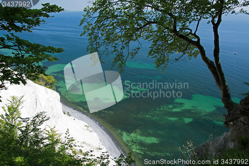 Image of Mons Klint, Denmark