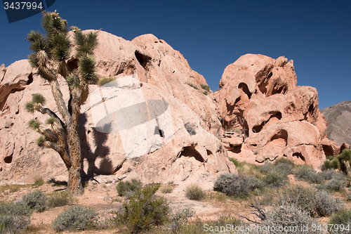 Image of Whitney Pocket, Nevada, USA