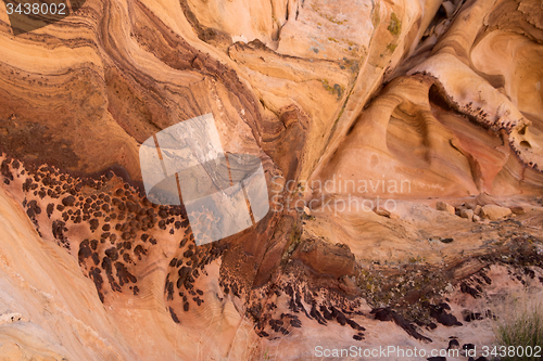 Image of Whitney Pocket, Nevada, USA