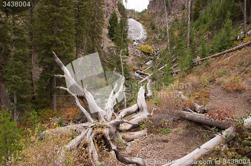 Image of Yellowstone National Park, USA