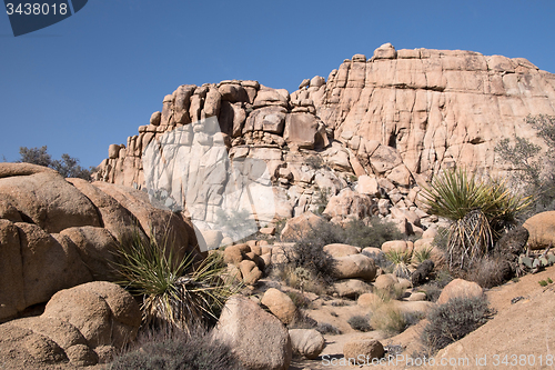 Image of Joshua Tree National Park, California, USA