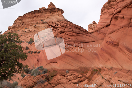 Image of Coyote Buttes South, Utah, USA