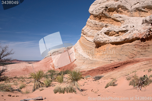 Image of White Pocket Canyon, Arizona, USA