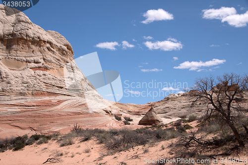 Image of White Pocket Canyon, Arizona, USA