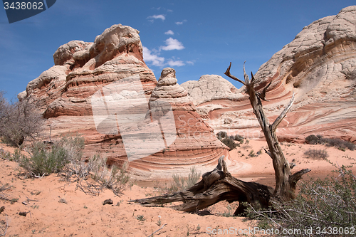Image of White Pocket Canyon, Arizona, USA