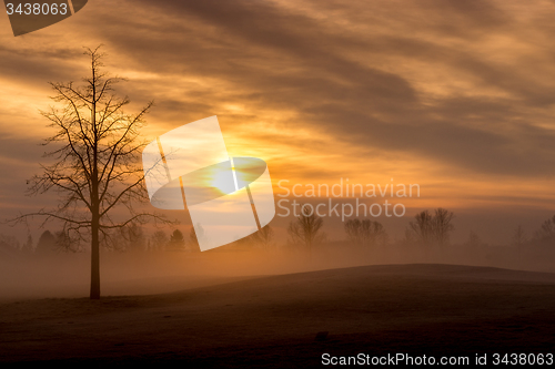 Image of Morning Fog