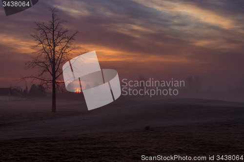 Image of Morning Fog