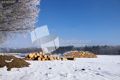 Image of Round Wood