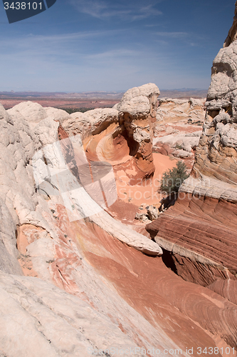 Image of White Pocket Canyon, Arizona, USA