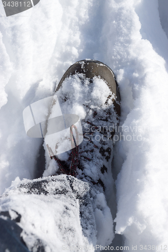 Image of Shoe in Snow