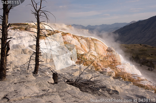 Image of Yellowstone National Park, USA