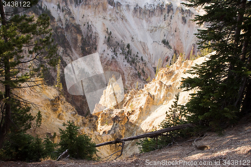 Image of Yellowstone National Park, USA