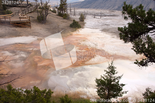 Image of Yellowstone National Park, USA