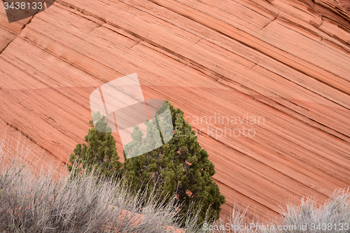 Image of Coyote Buttes South, Utah, USA