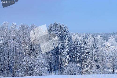 Image of Ica Age in Muehlberg, Bavaria, Germany