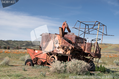 Image of Antelope Valley Poppy Reserve, California, USA