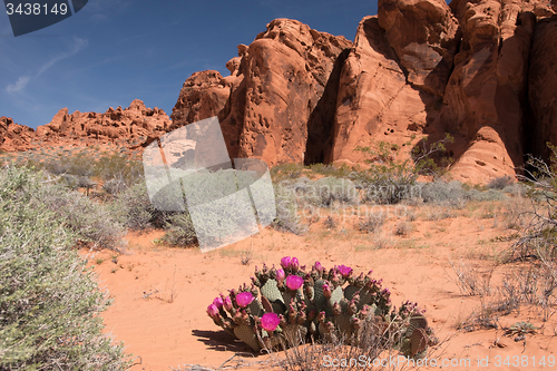 Image of Valley of Fire, Nevada, USA