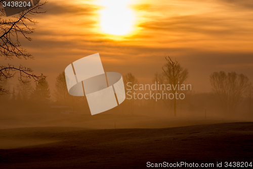 Image of Morning Fog