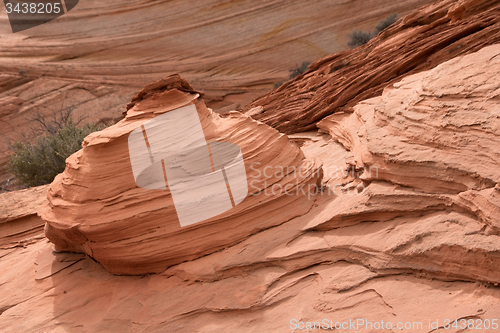 Image of Coyote Buttes South, Utah, USA