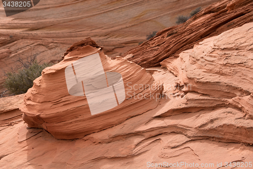 Image of Coyote Buttes South, Utah, USA