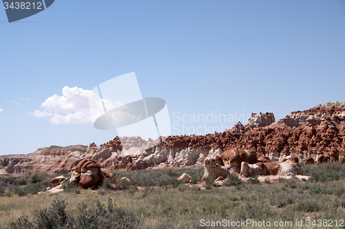 Image of Blue Canyon, Arizona, USA