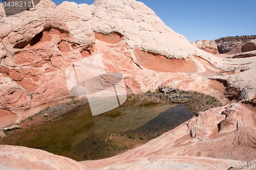 Image of White Pocket Canyon, Arizona, USA