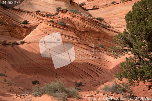 Image of Coyote Buttes South, Utah, USA