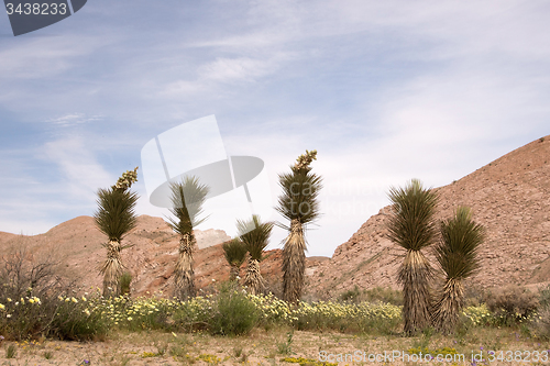 Image of Red Rock Canyon State Park, California, USA