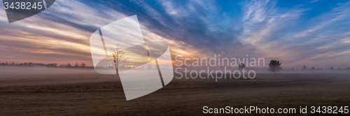 Image of Morning Fog