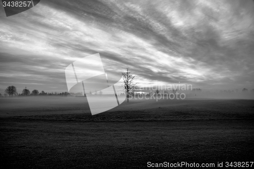 Image of Morning Fog