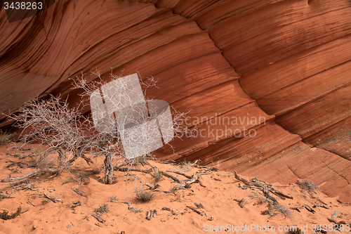 Image of Coyote Buttes South, Utah, USA