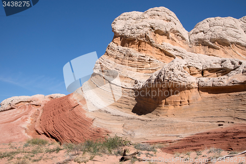 Image of White Pocket Canyon, Arizona, USA