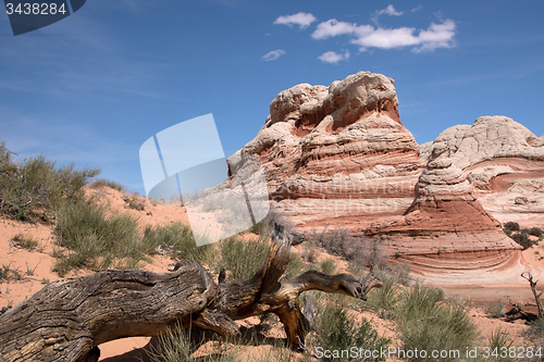Image of White Pocket Canyon, Arizona, USA