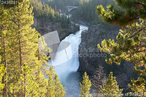 Image of Yellowstone National Park, USA