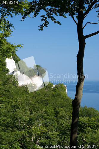 Image of Mons Klint, Denmark