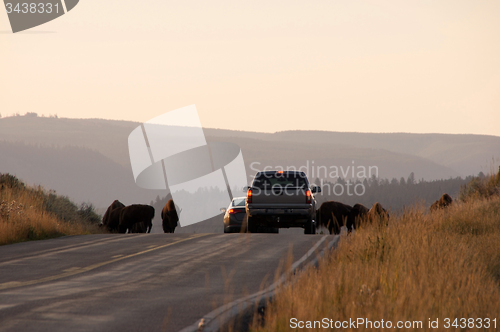 Image of Yellowstone National Park, USA