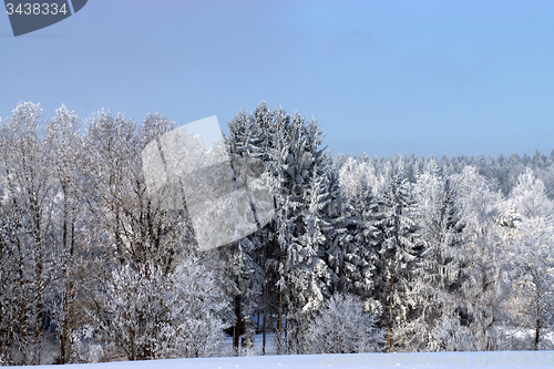 Image of Ica Age in Muehlberg, Bavaria, Germany