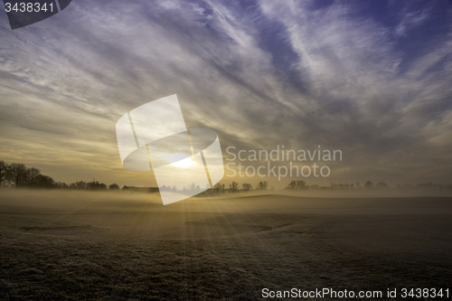 Image of Morning Fog
