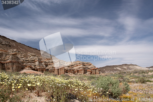 Image of Antelope Valley Poppy Reserve, California, USA