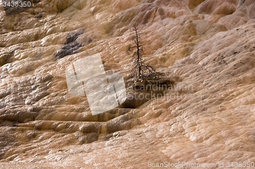 Image of Yellowstone National Park, USA