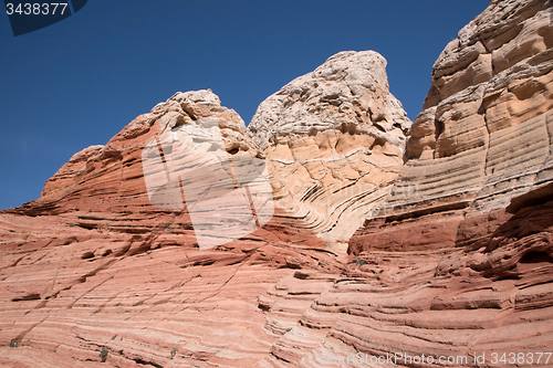 Image of White Pocket Canyon, Arizona, USA