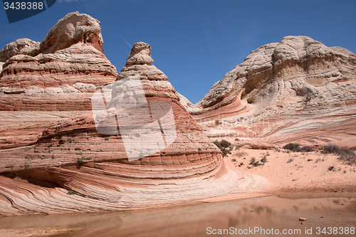 Image of White Pocket Canyon, Arizona, USA