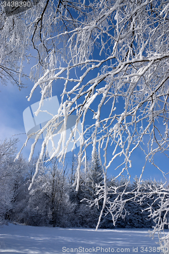 Image of Ica Age in Muehlberg, Bavaria, Germany