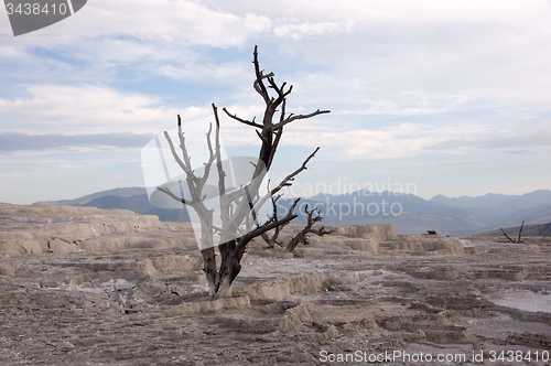 Image of Yellowstone National Park, USA