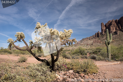 Image of Lost Dutchman State Park, Arizona, USA