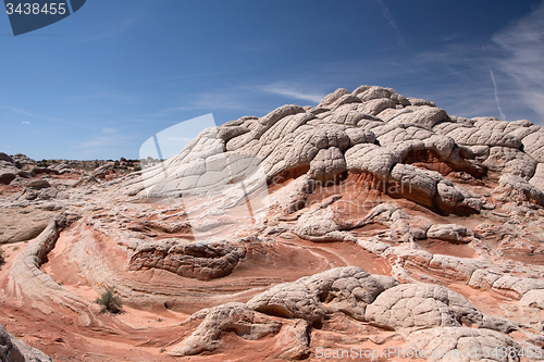 Image of White Pocket Canyon, Arizona, USA
