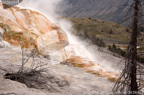 Image of Yellowstone National Park, USA