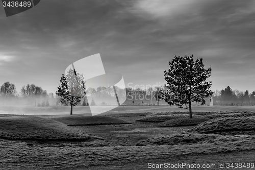 Image of Morning Fog